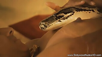 Sacred Snake Serpent Milf: Den Ultimata Erotiska Upplevelsen