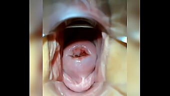 Mira A Una Joven Estirar Toda Su Vagina En Este Video En Solitario