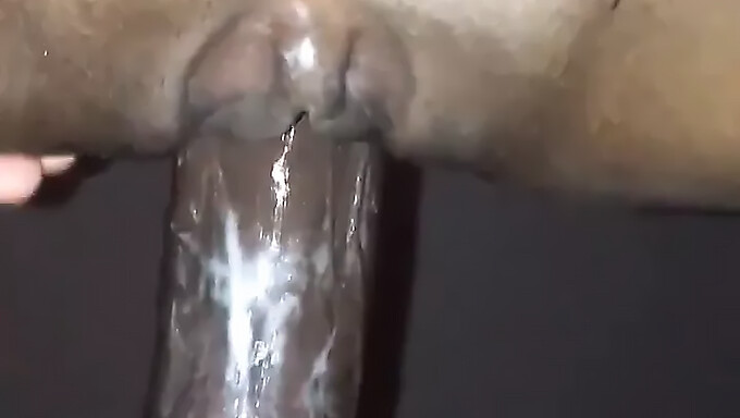 Amateur Wife Gets Creampied By Big Cock